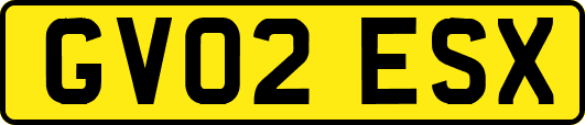 GV02ESX