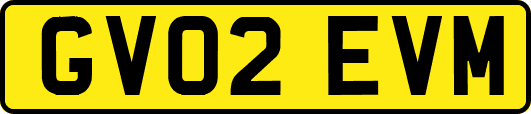 GV02EVM