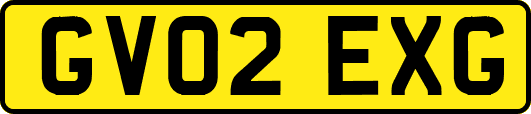 GV02EXG