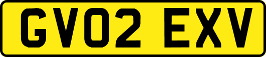 GV02EXV