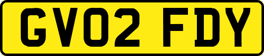 GV02FDY