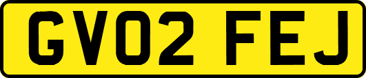 GV02FEJ