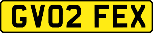 GV02FEX