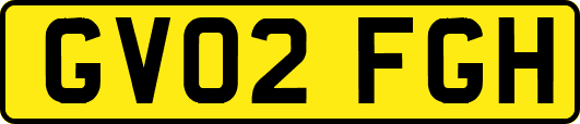 GV02FGH