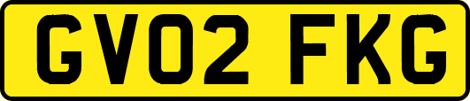 GV02FKG