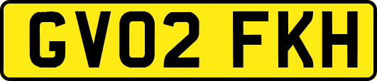 GV02FKH