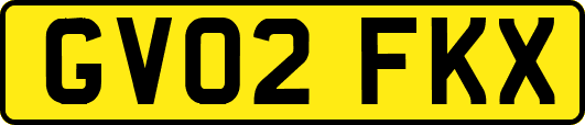 GV02FKX