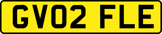 GV02FLE