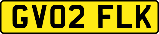 GV02FLK