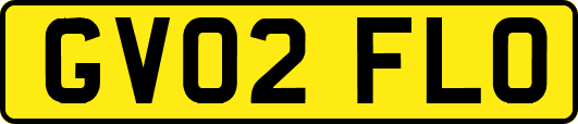 GV02FLO