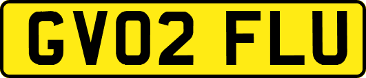 GV02FLU