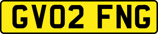 GV02FNG