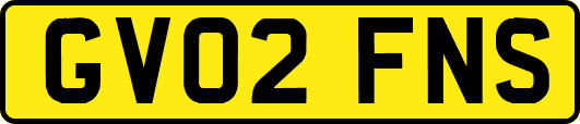 GV02FNS