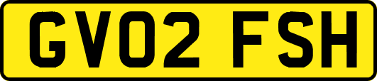 GV02FSH