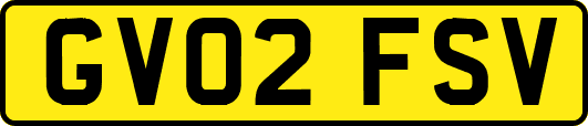GV02FSV