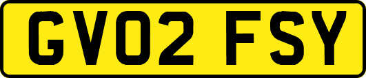 GV02FSY