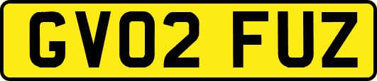 GV02FUZ