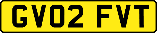 GV02FVT