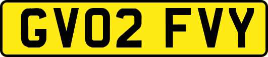 GV02FVY