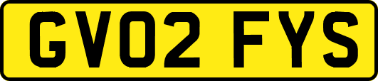 GV02FYS