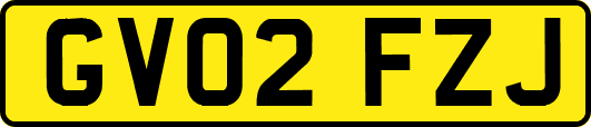 GV02FZJ