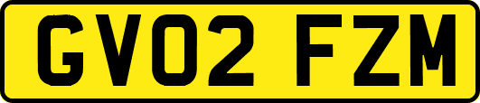 GV02FZM