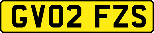 GV02FZS