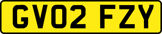 GV02FZY