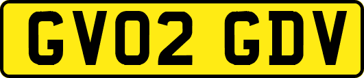 GV02GDV