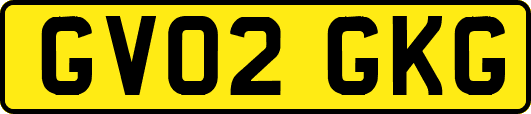 GV02GKG