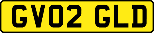 GV02GLD