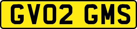 GV02GMS