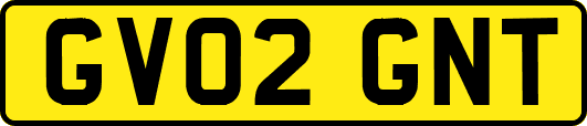 GV02GNT