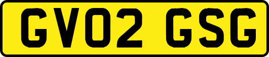 GV02GSG