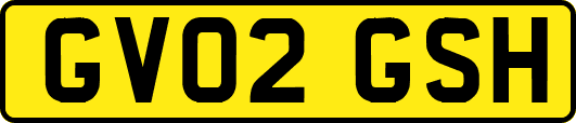 GV02GSH