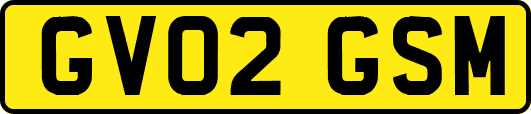GV02GSM