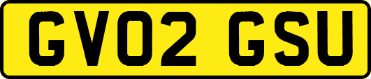 GV02GSU