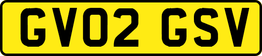 GV02GSV