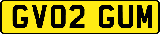 GV02GUM