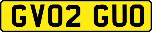 GV02GUO