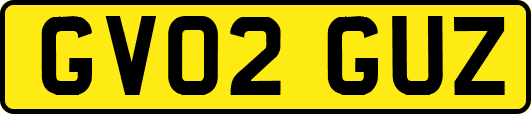 GV02GUZ