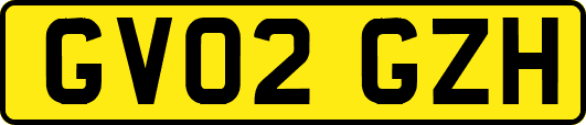 GV02GZH