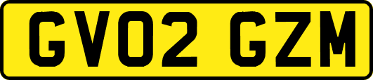 GV02GZM