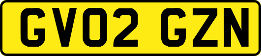 GV02GZN