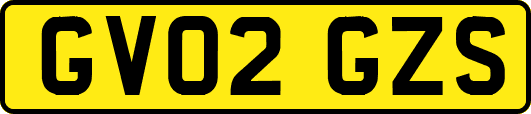 GV02GZS