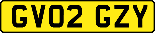 GV02GZY