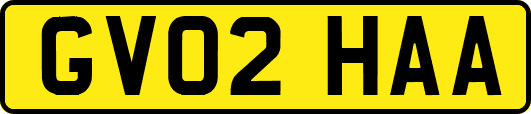 GV02HAA