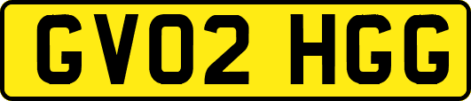 GV02HGG