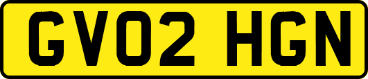 GV02HGN