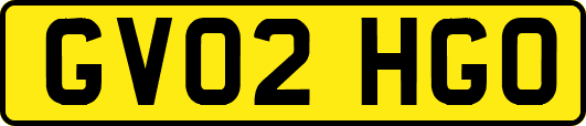 GV02HGO